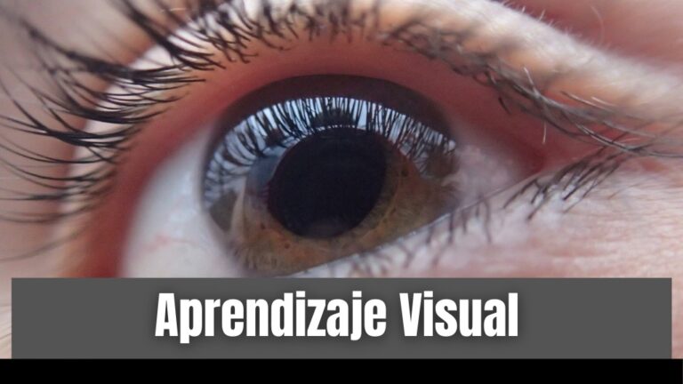 Aprendizaje Visual Qu Es El Aprendizaje Visual