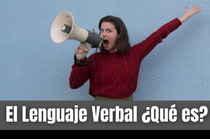 El Lenguaje Verbal ¿Qué es?